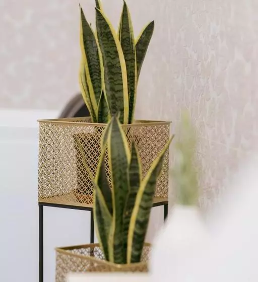 ペンション Porta D'oro Charming House