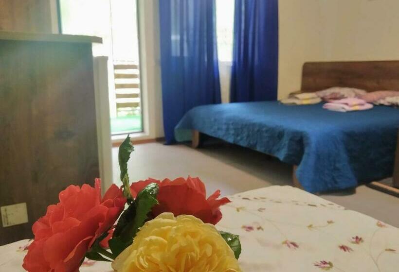 호스텔 отель лагита