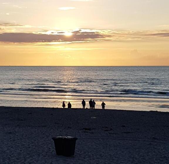 B&b Duinroos De Koog Texel