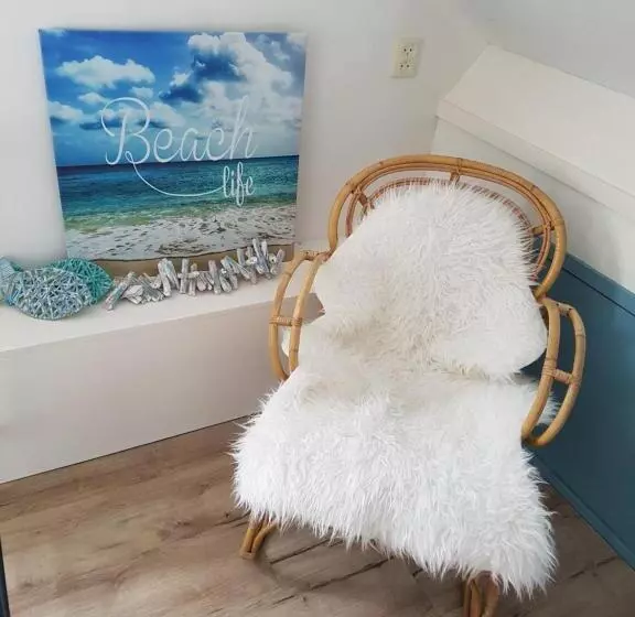 B&b Duinroos De Koog   Texel