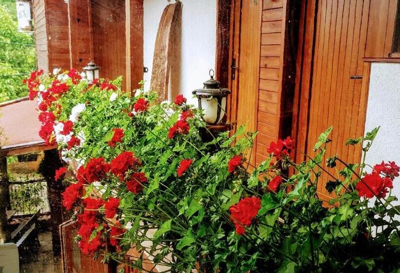 فندق семеен хотел берое