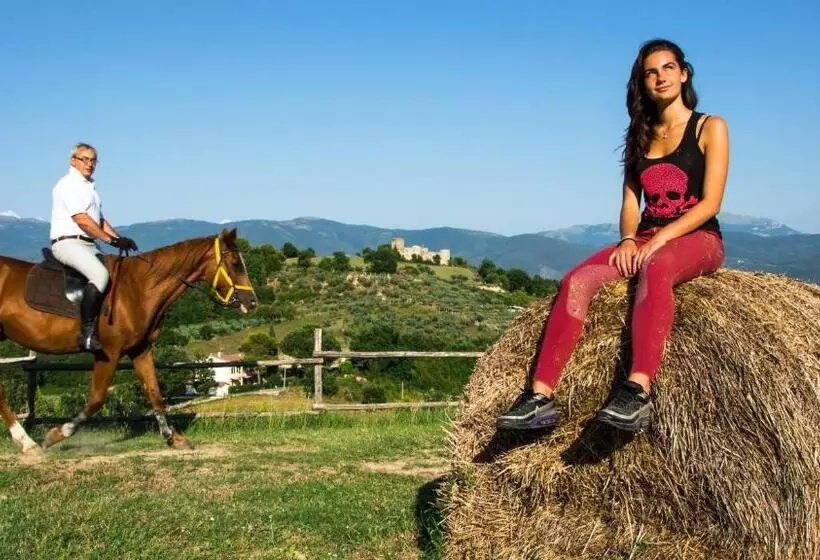 ホテル Agriturismo Rivoli