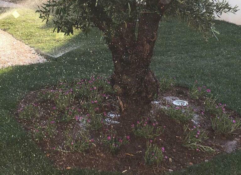 La Casa Di Francesca B&b Con Parcheggio Privato