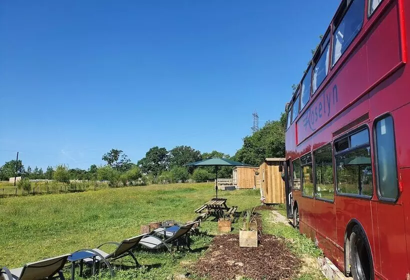 Double Decker Bus On An Alpaca Farm Sleeps 8, 5 Mins Drive To Dartmoor