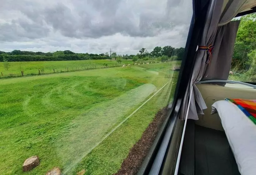 Double Decker Bus On An Alpaca Farm Sleeps 8, 5 Mins Drive To Dartmoor