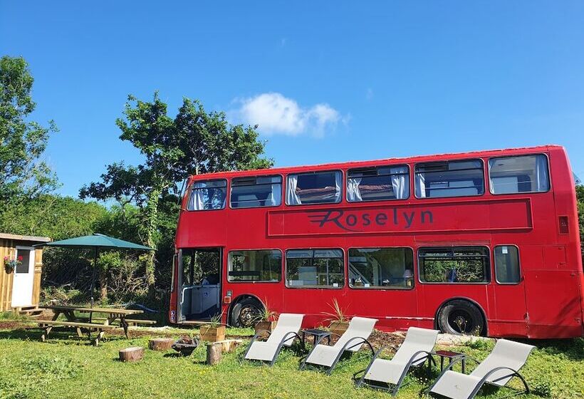 Double Decker Bus On An Alpaca Farm Sleeps 8, 5 Mins Drive To Dartmoor