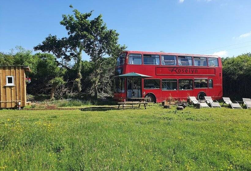 Double Decker Bus On An Alpaca Farm Sleeps 8, 5 Mins Drive To Dartmoor