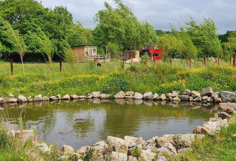 Double Decker Bus On An Alpaca Farm Sleeps 8, 5 Mins Drive To Dartmoor