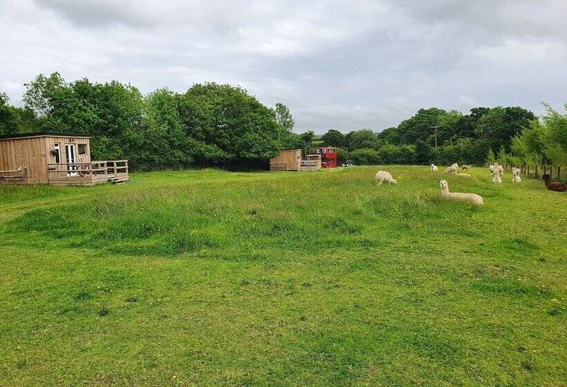 Double Decker Bus On An Alpaca Farm Sleeps 8, 5 Mins Drive To Dartmoor