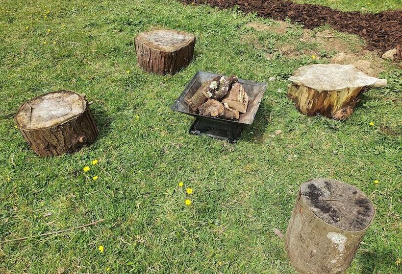 Double Decker Bus On An Alpaca Farm Sleeps 8, 5 Mins Drive To Dartmoor