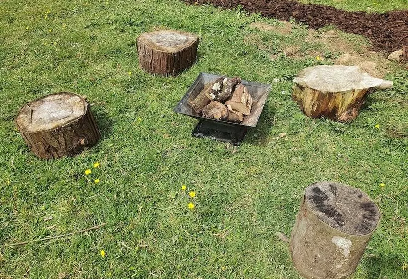 Double Decker Bus On An Alpaca Farm Sleeps 8, 5 Mins Drive To Dartmoor