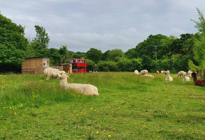 Double Decker Bus On An Alpaca Farm Sleeps 8, 5 Mins Drive To Dartmoor