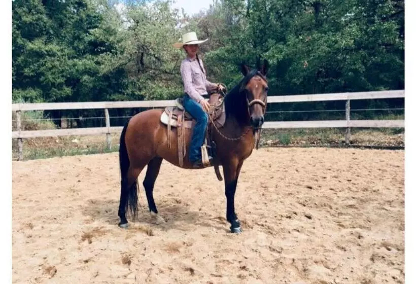 Gîte La Longère Bleue