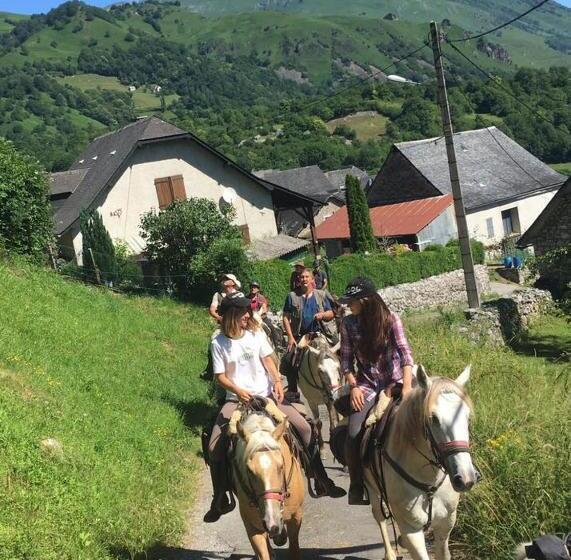 Bed and Breakfast Chambres D Hôtes La Cavalière