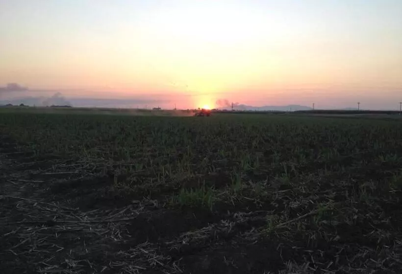 Motelli Plantation Park Motor Inn