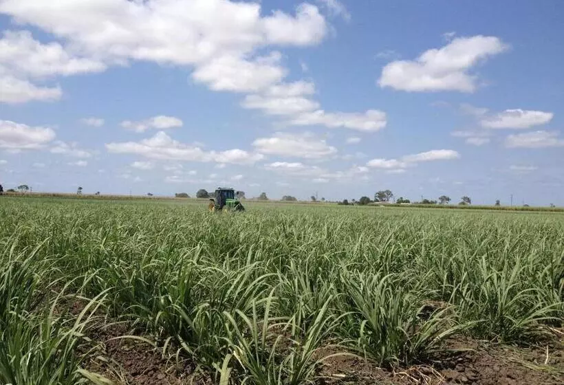 Motelli Plantation Park Motor Inn