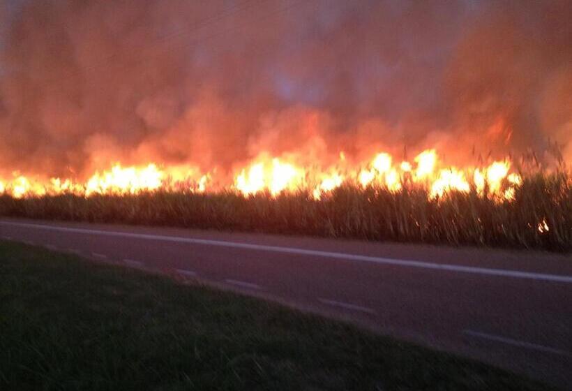 מוטל Plantation Park Motor Inn