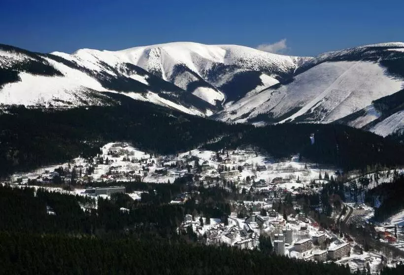 تختخواب و صبحانه Pension Alba