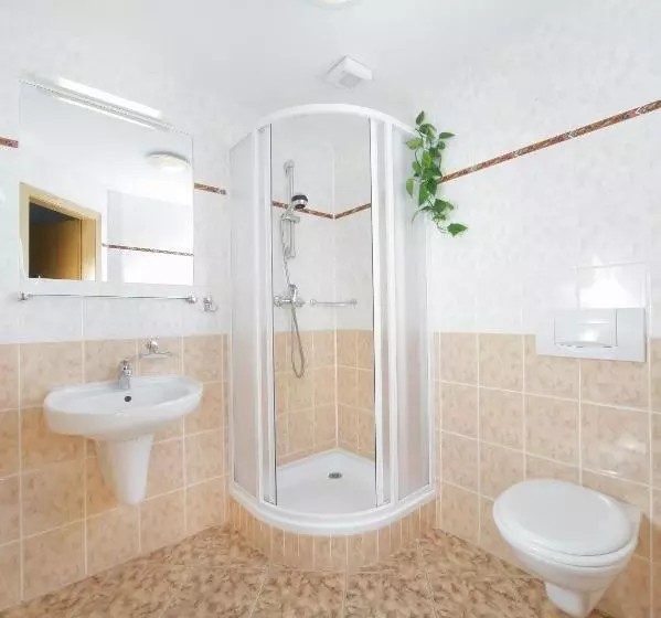 住宿加早餐  Pension Alba