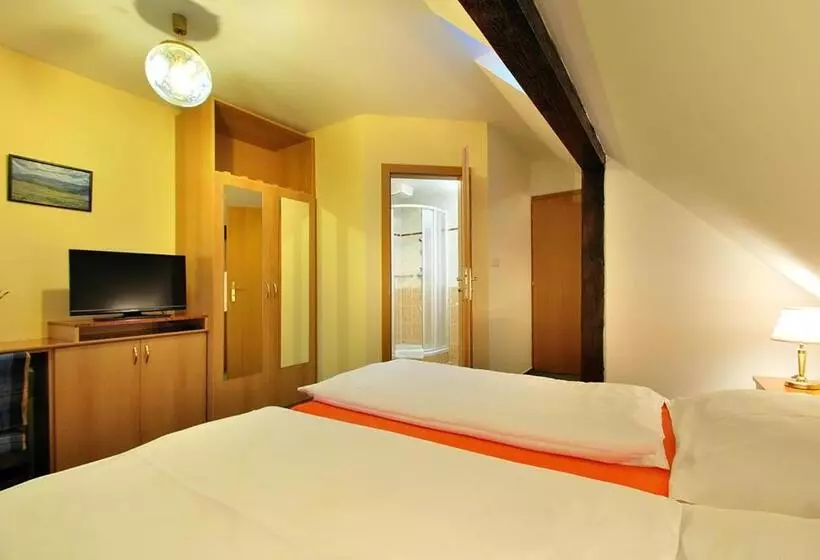 住宿加早餐  Pension Alba