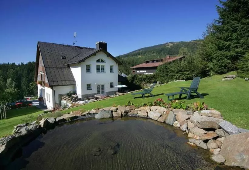 住宿加早餐  Pension Alba