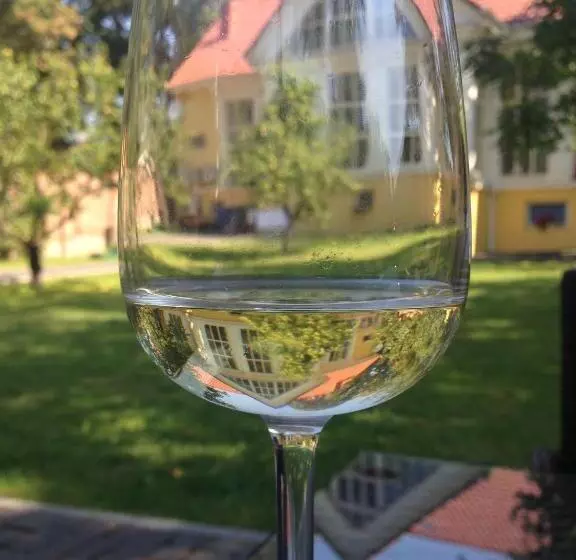 Boutique Hotel Villa P