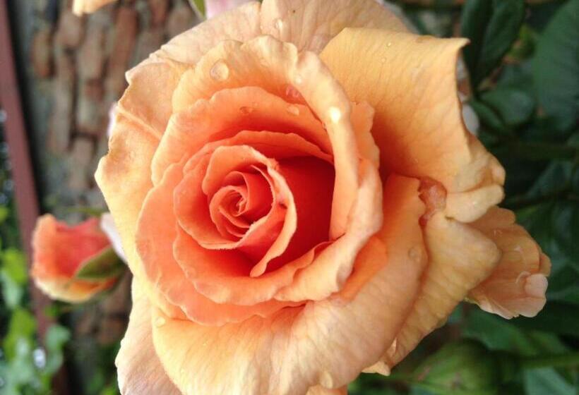 Boutique Hotel Villa P