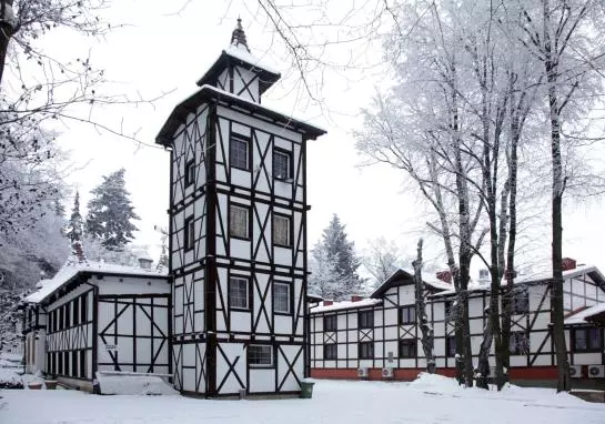 בית מלון כפרי Bukowy Dworek