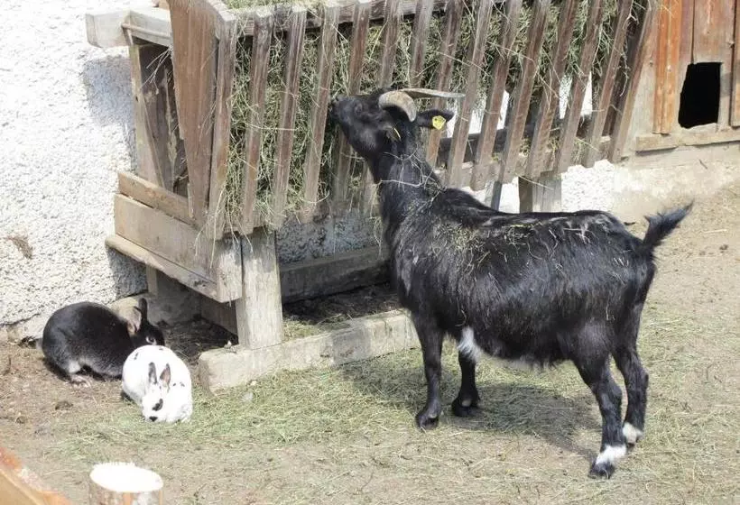 ホテル Fertinghof