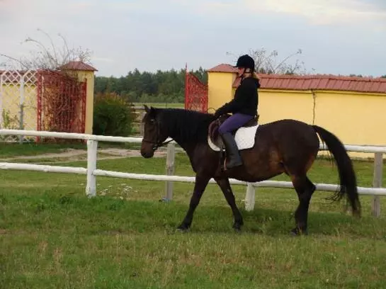 ホテル Pensjonat Stadnina Red Lion Farm