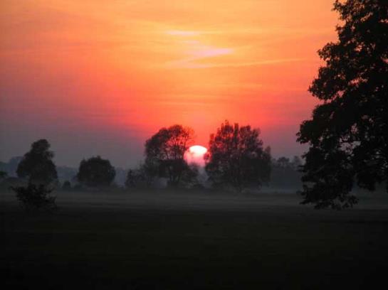 호텔 Pensjonat Stadnina Red Lion Farm