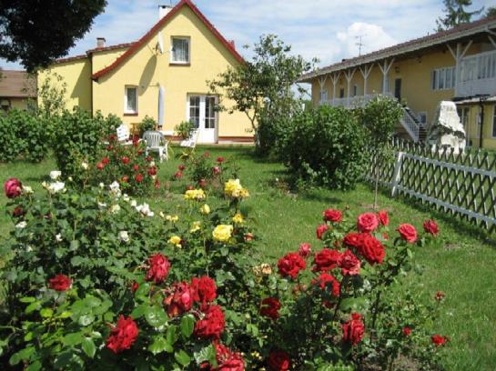 酒店 Pensjonat Stadnina Red Lion Farm