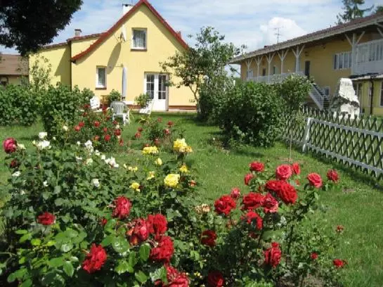 ホテル Pensjonat Stadnina Red Lion Farm