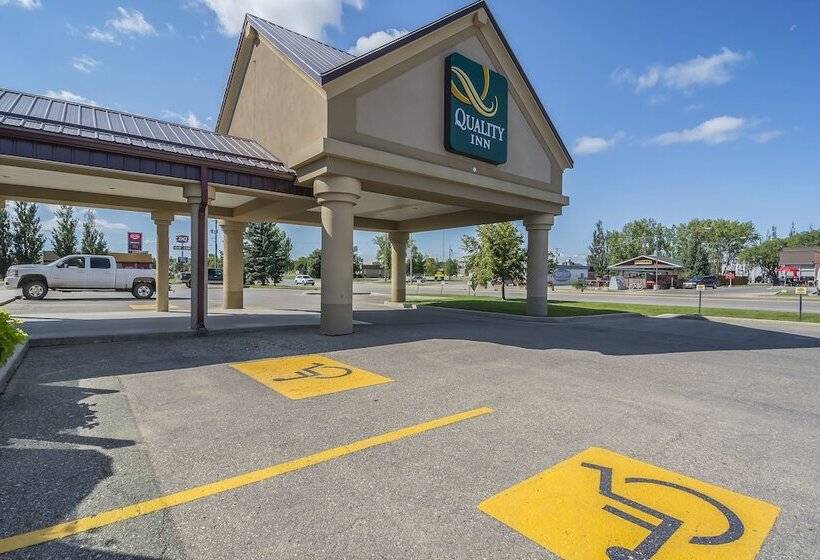 酒店 Quality Inn & Suites