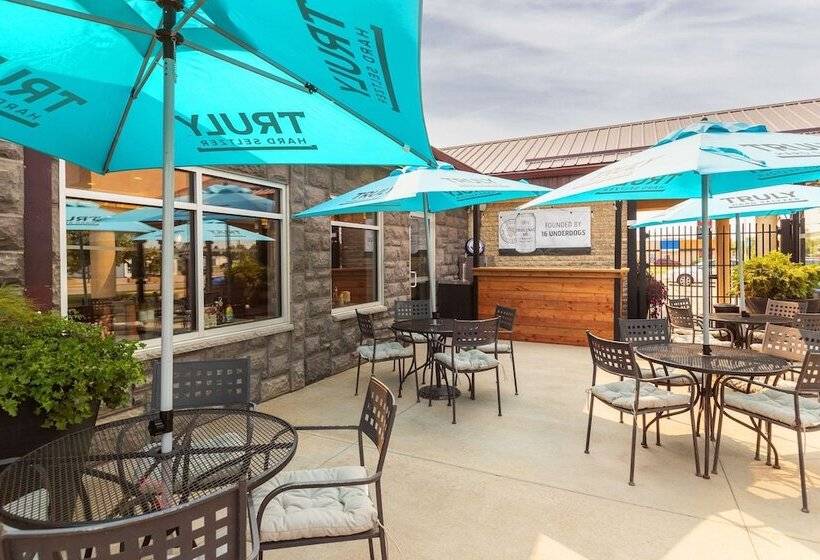 酒店 Quality Inn & Suites