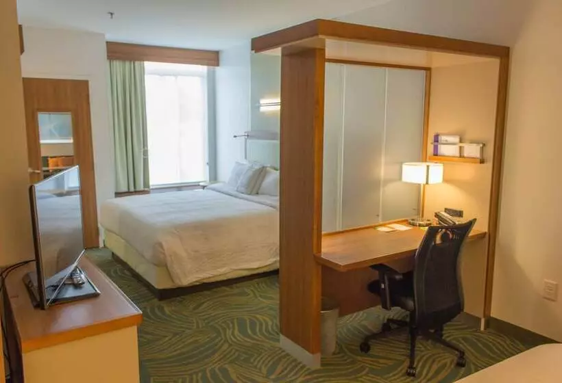 Отель Springhill Suites By Marriott Sumter