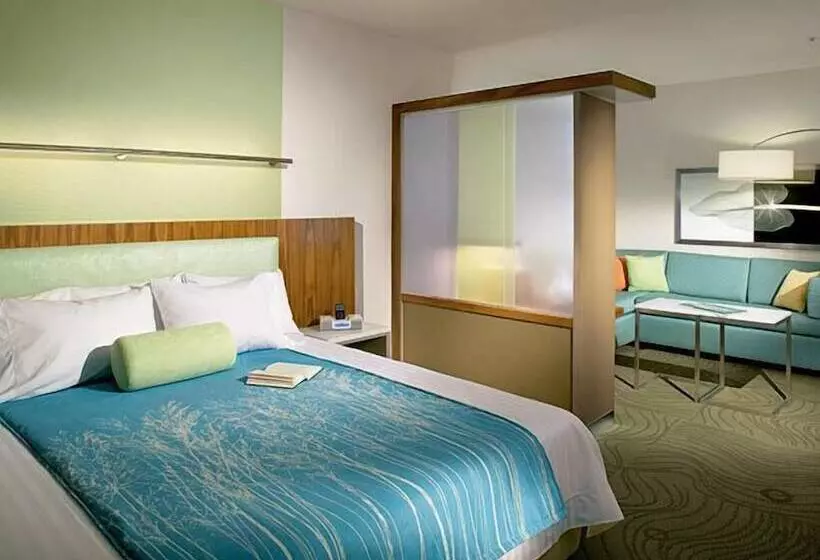 Отель Springhill Suites By Marriott Sumter