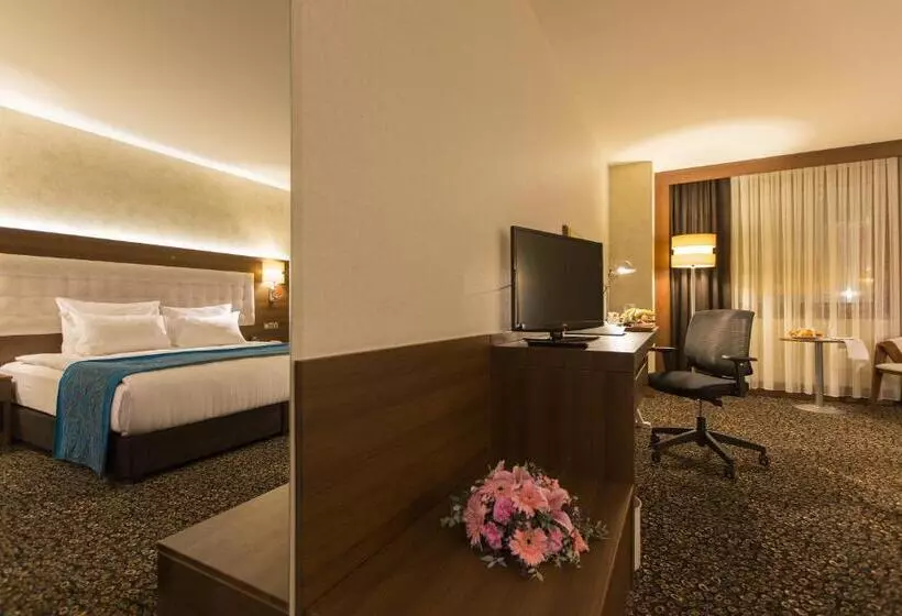 هتل Teymur Continental