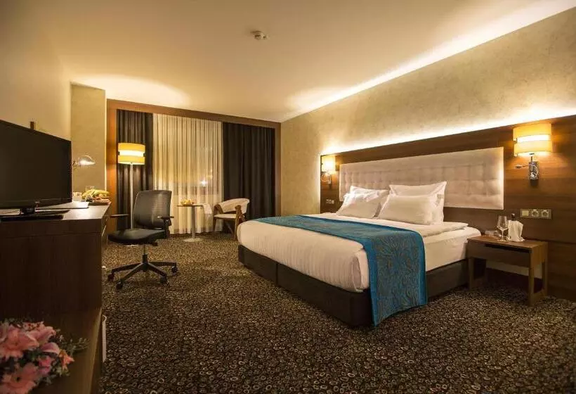 هتل Teymur Continental