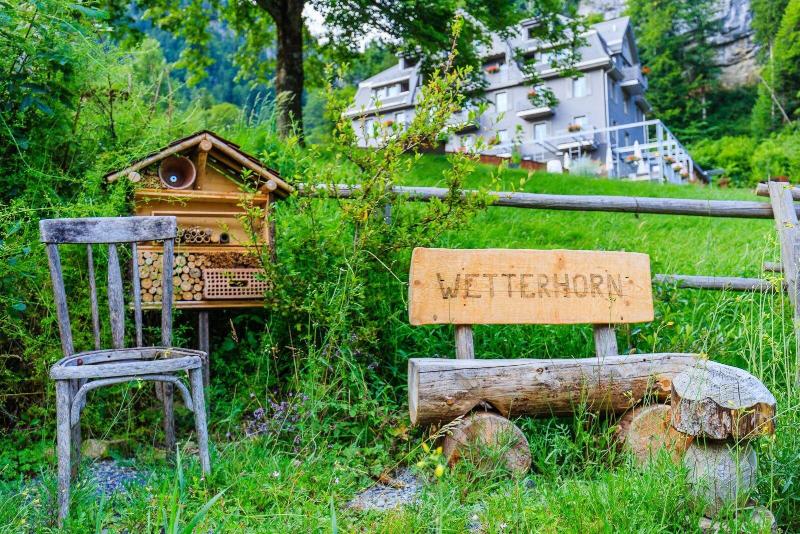 酒店 Wetterhorn