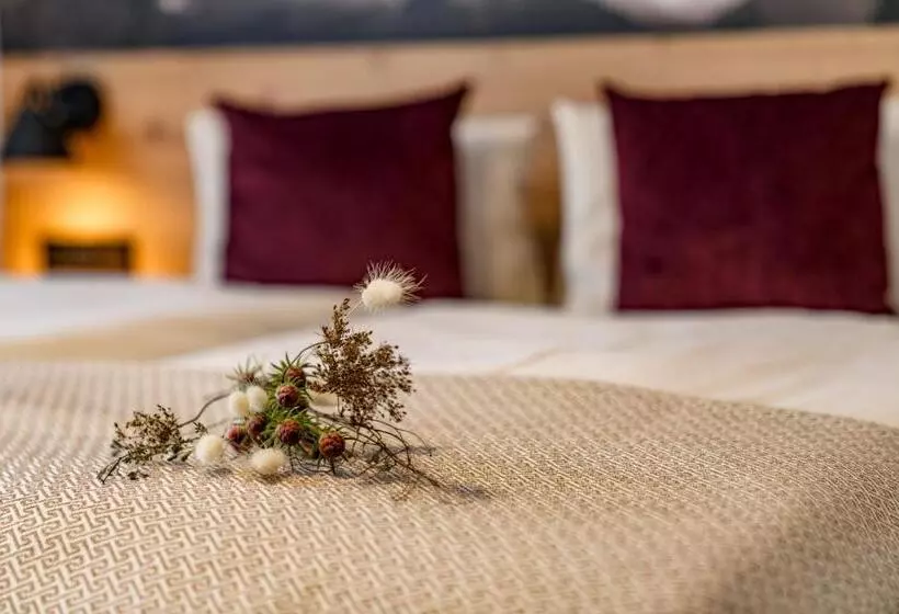 بنسيون Hierzegger