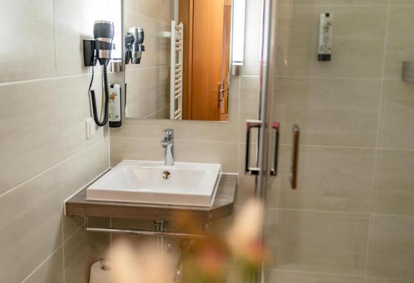 بنسيون Hierzegger