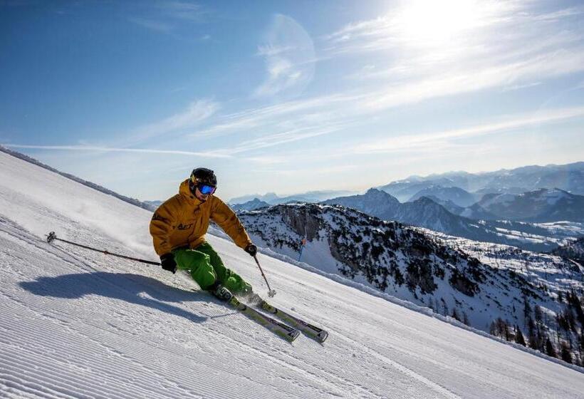 بنسيون Hierzegger