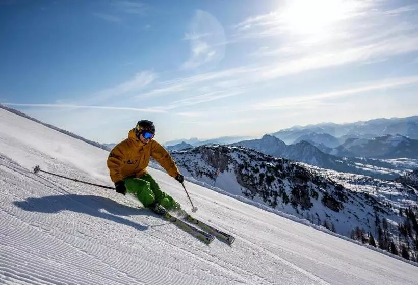 بنسيون Hierzegger