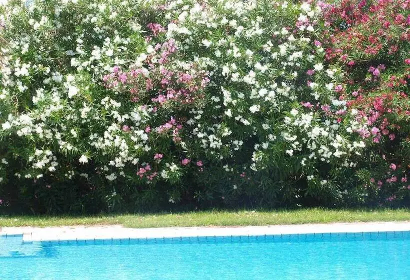 Villa Rita Apartments