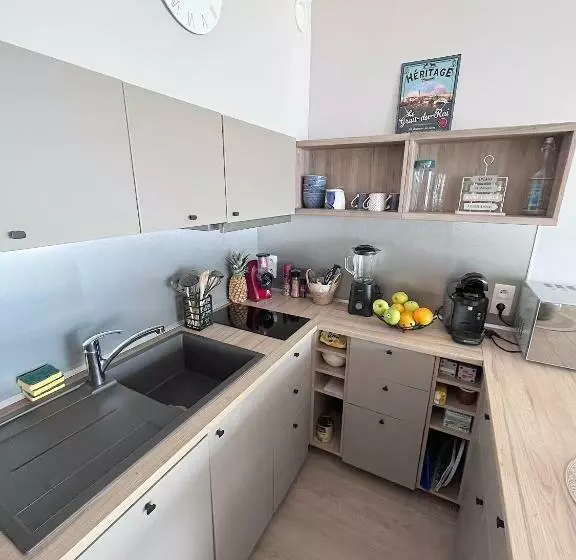 La Perle Du Grau : T1 Avec Exceptionnelle Vue Mer