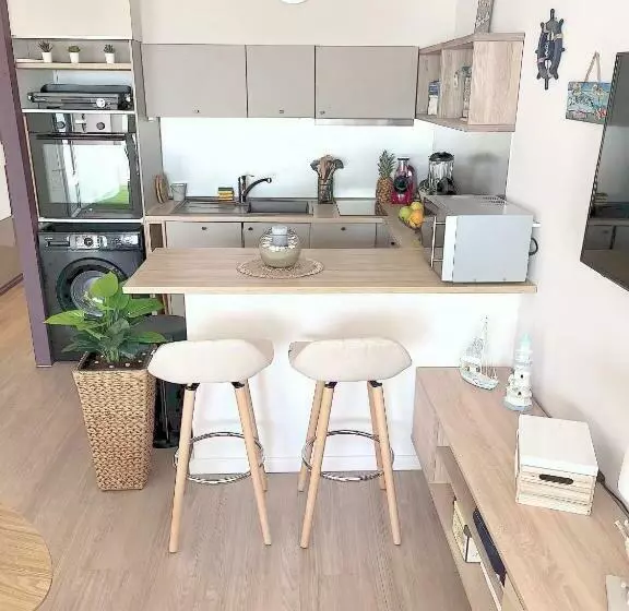 La Perle Du Grau : T1 Avec Exceptionnelle Vue Mer