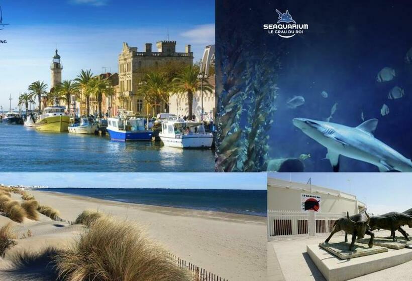 La Perle Du Grau : T1 Avec Exceptionnelle Vue Mer