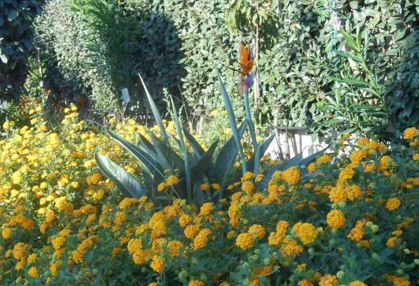 B&b La Posada Stintino