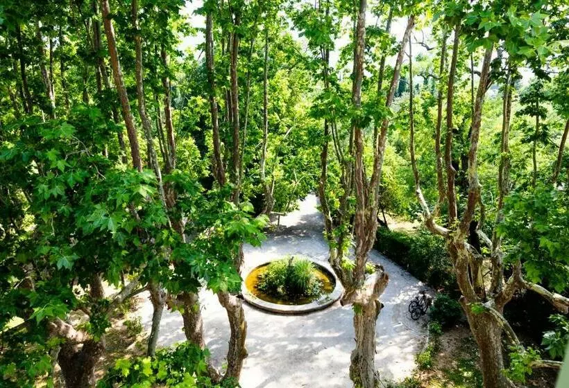 هتل Hôtel   Restaurant & Spa La Magdeleine   Mathias Dandine